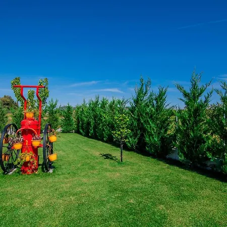 Villa Anchor Fiolítis